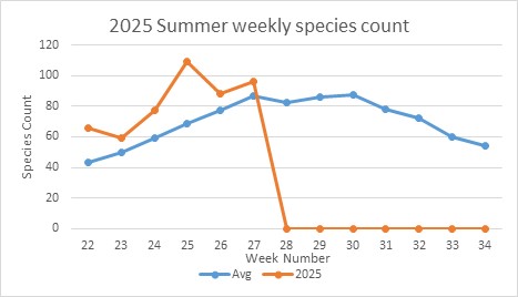 Count of species per week